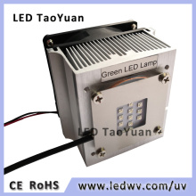 Green LED 25W High Power LED Lamp Module